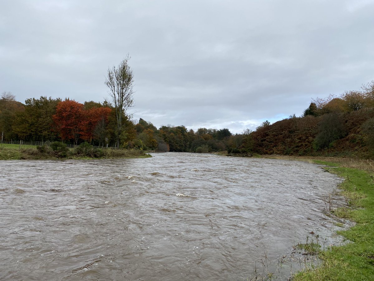 AberdeenAngling's tweet photo. What a difference a day makes! Plenty water in the #RiverDon today following a night of torrential rain. #Spate #Donside #Cothal #UpperParkhill #Dyce #ADAA https://t.co/7yDYntkbCT