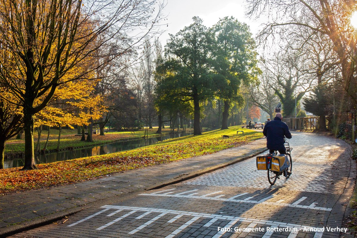 Onze #Reiniging ruimt in oktober, november en december circa 2 miljoen kilo #herfstblad 🍂 op in <a href="/rotterdam/">Gemeente Rotterdam</a> , zodat straten minder glad zijn en begaanbaar blijven.
#Vegen #Bladeren #Herfst #Veilig #Gladheid #Opruimen