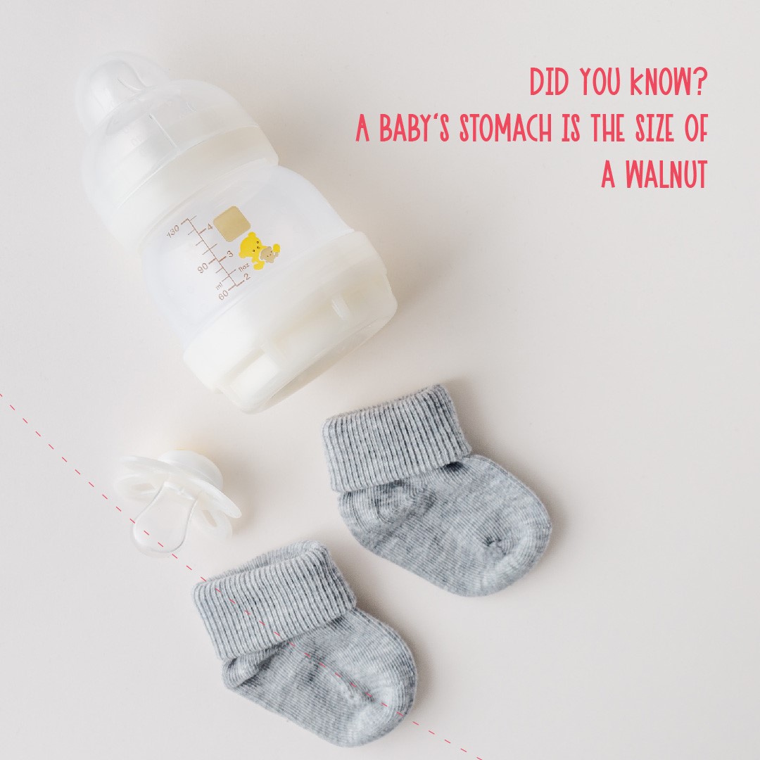 tidysleep's tweet photo. That’s nuts! No wonder they require constant feedings.

#SuperSoft #SuperAbsorbent #BabyCare #HappyBaby  #BabyBestFriend #ComfortableNights #TidySleep #TidySleepSheets #AntiBacterial #BestForYourBaby #happybabyhappyparent

Buy Now: https://t.co/vsYWkj4xaN https://t.co/zBE48jTofg