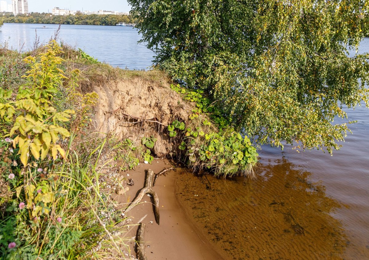 mriverstrogino's tweet photo. On October 19, the Expert Council of the #Competition  organized its first online meeting. The experts discussed the applications submitted to the competition and gave their recommendations to the jury members.

#moskvarekastrogino #gradplanmoscow #stroginoparticipants https://t.co/47oQteuP3R