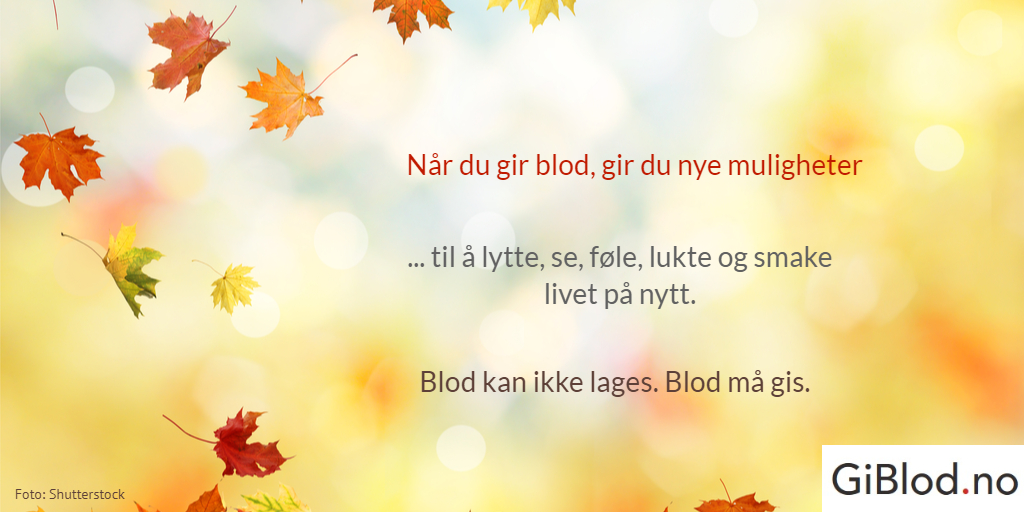 Meld deg på GiBlod.no, rodekors.no/gi-blod/