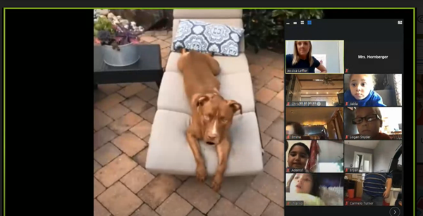 Celebrating an engaging virtual physical education class with Mrs. Leffler!  Wonderful idea to use her talking dog, Leo to give a healthy hint at the end of the lesson. Not only do the students want to come back every day, but so do I! <a href="/muhlsd/">Muhlenberg SD</a>