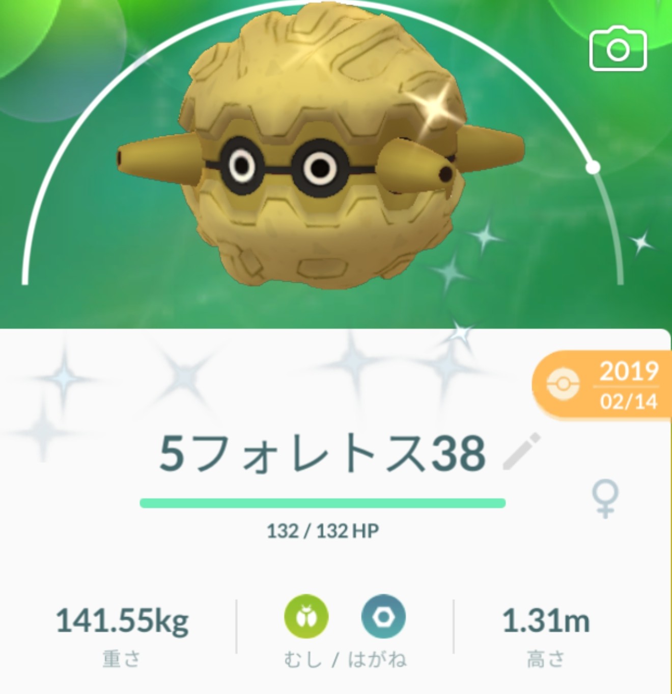 Junya Team クヌギダマの色違いでました 口から接着剤の液を出して 木の皮を体に付けていきます 年をとるほど大きくなるそうな だいぶ前にゲットしたフォレトスを見ると 141kg 1 3mって 思ってたより大きいポケモンなのですね