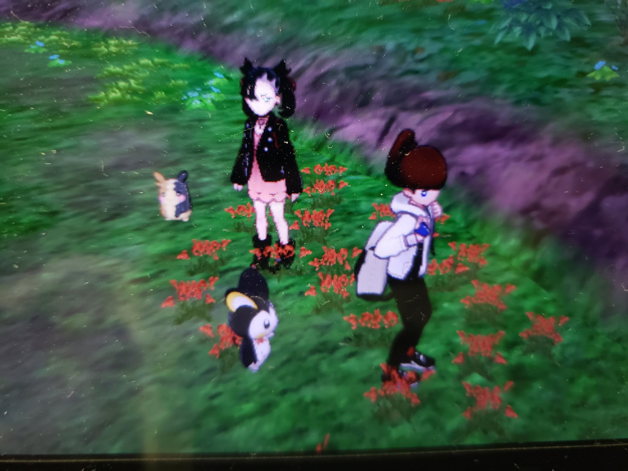 エクレア ポケモン剣盾 モルペコとエモンガ似てるってマリィちゃん言ってたけどみんなは どう 同じ電気タイプだしピカチュウのようなマスコットキャラみたいな立ち位置だし なんかアザと可愛い 笑 T Co Dwy8vwcbbs Twitter
