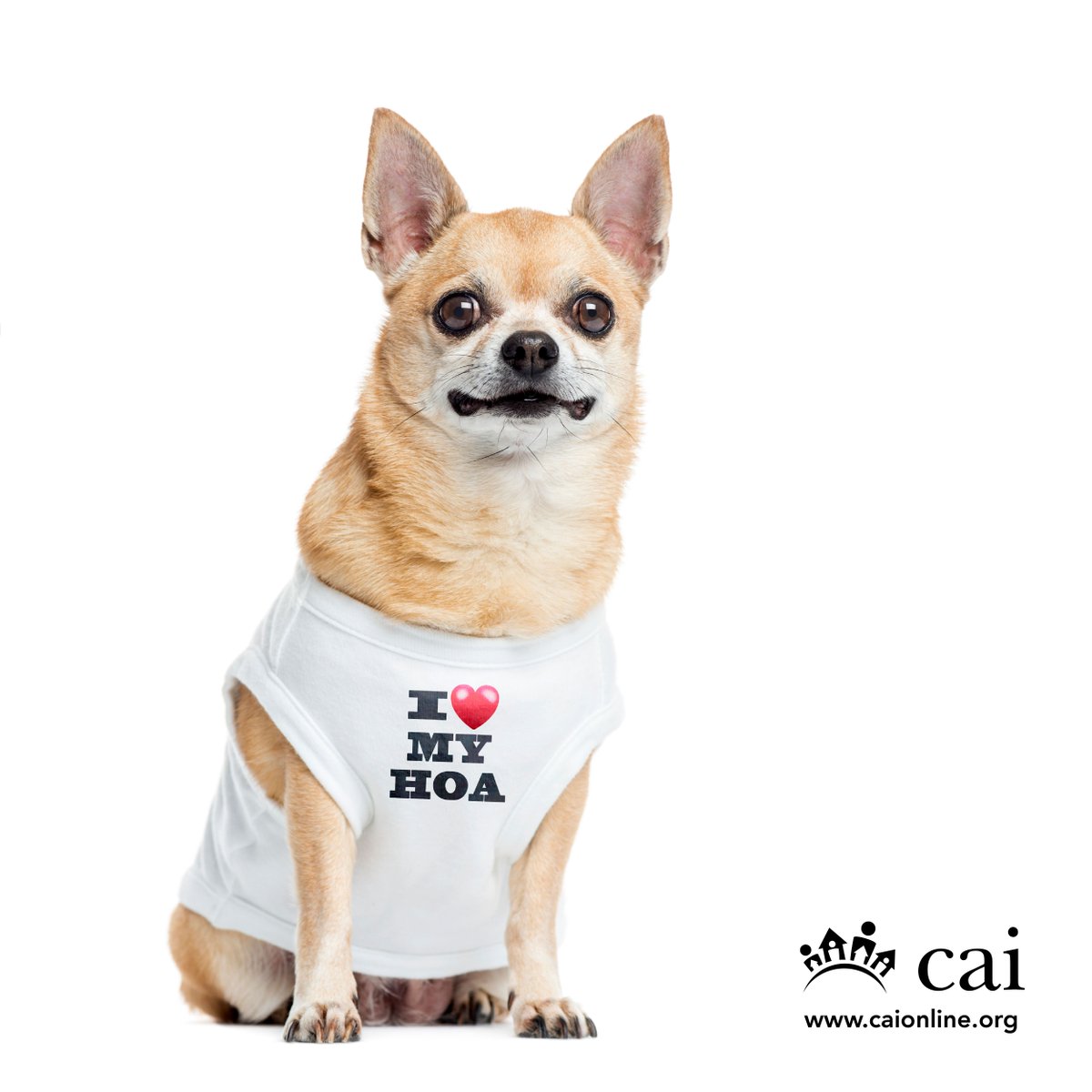 CAIsocial's tweet image. It's not just people, pets love #HOAliving too. #NationalMakeADogsDay #WeAreCAI