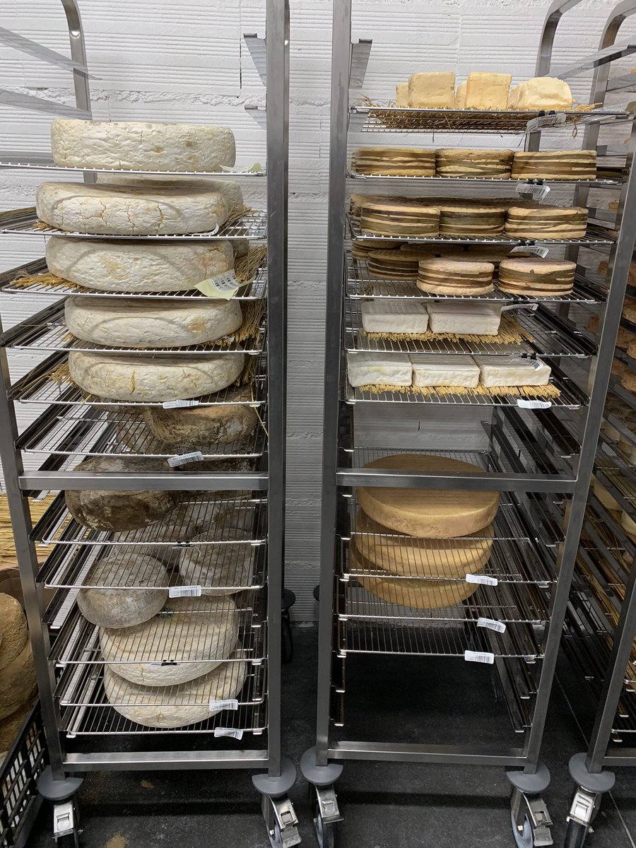 JJBOLZAN tweet media