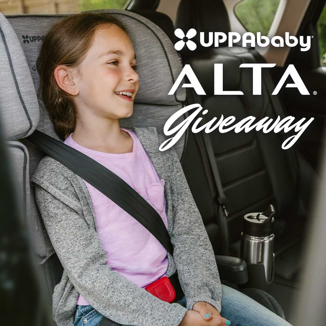 DearBornBaby tweet media