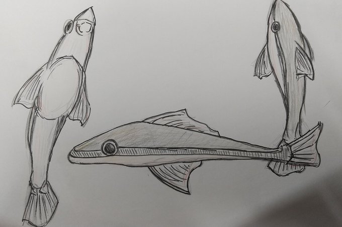 魚の絵のtwitterイラスト検索結果 魚の絵のtwitterイラスト検索結果