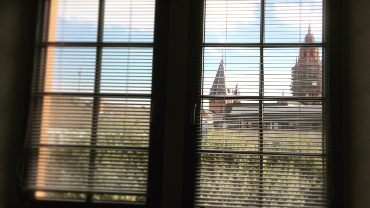 View of #MainzerDom from the window of #DomusUniversitatis/@IEG_Mainz . #funwithfellowfellows #alwaysafellow #dissertating #phdlife #ieglife #ieg_dhlab/#dhlab_ieg #dh #fellowlife @DHLab_IEG #epigrammetry #epigrammetryontheroad