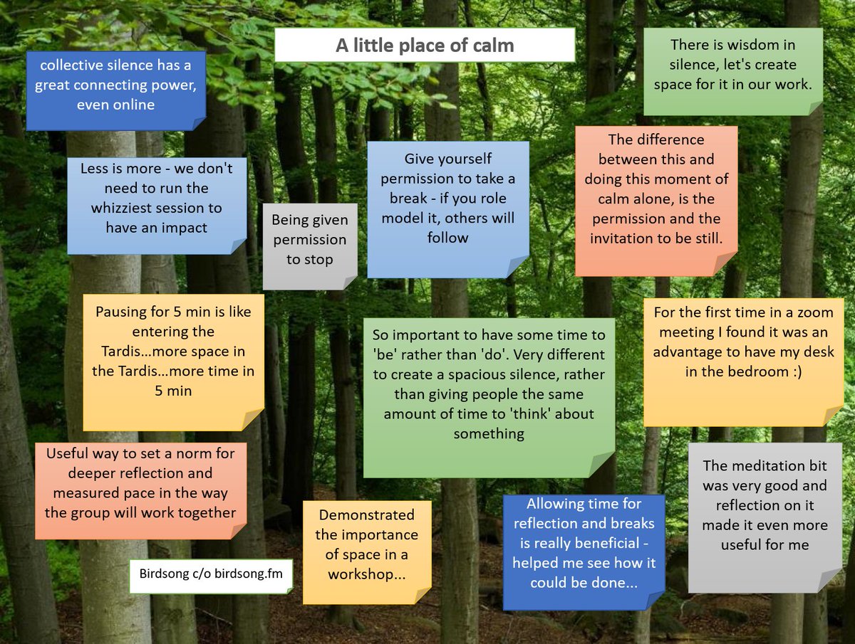 penny_walker_sd's tweet image. Here are some of the insights from yesterday's "Little Place of Calm" session for @IAFEnglandWales #FacWeek Conference. We heard birdsong, did a 5min guided visualisation, and spent 5 mins in silence, then shared experiences. #IAFMeetUp
