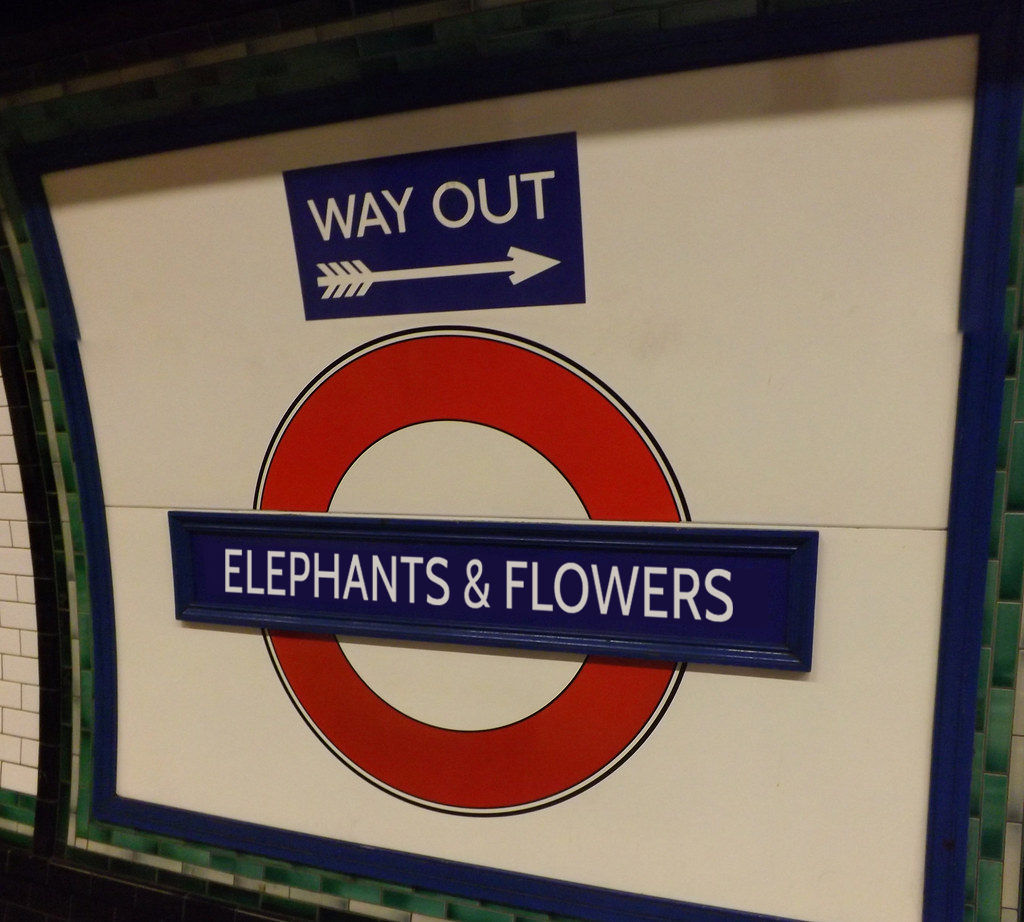 PrincePartyUK's tweet photo. Elephants and Flowers, strip down
Think I'm gonna fall in love tonight!
#Prince #Prince4Ever https://t.co/alUMmBP8oG