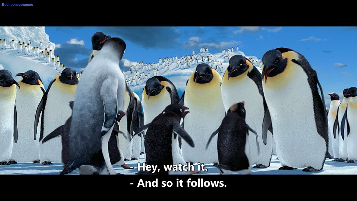 love how after that old emperor penguin slaps the adelie aLL THE ADELIES GO AT HIM SCREAMING