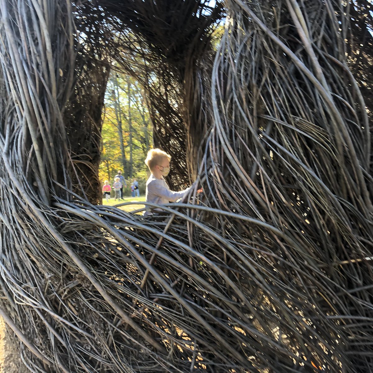 LAND_Gp's tweet image. Thanks for the visit @HFandG to see the impressive and beautifully intricate #stickwork installation by Patrick Dougherty. And your fall colors are real real nice too! @cleveLANDstudio