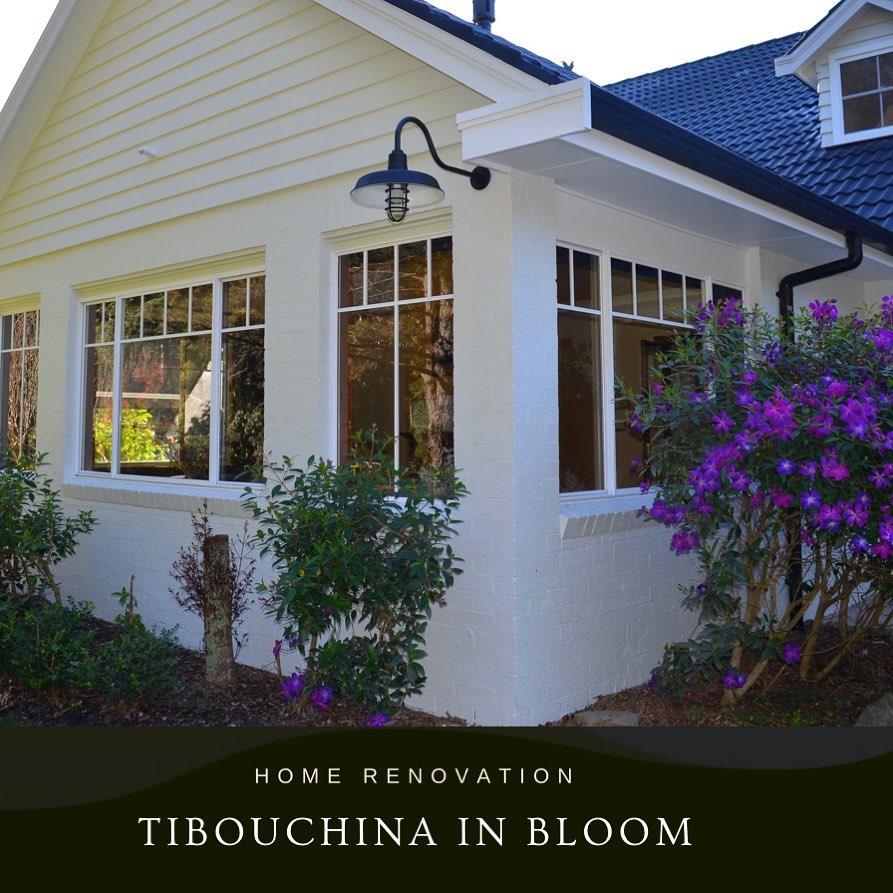 BarnLightAU's tweet photo. So my favourite colour is 💜. This flowering Tibouchina is stunning against this weatherboard home featuring our Original Gooseneck with Cast Guard. 
Such a statement piece 🤩  who couldn't love it? https://t.co/jPrj8xPU0J