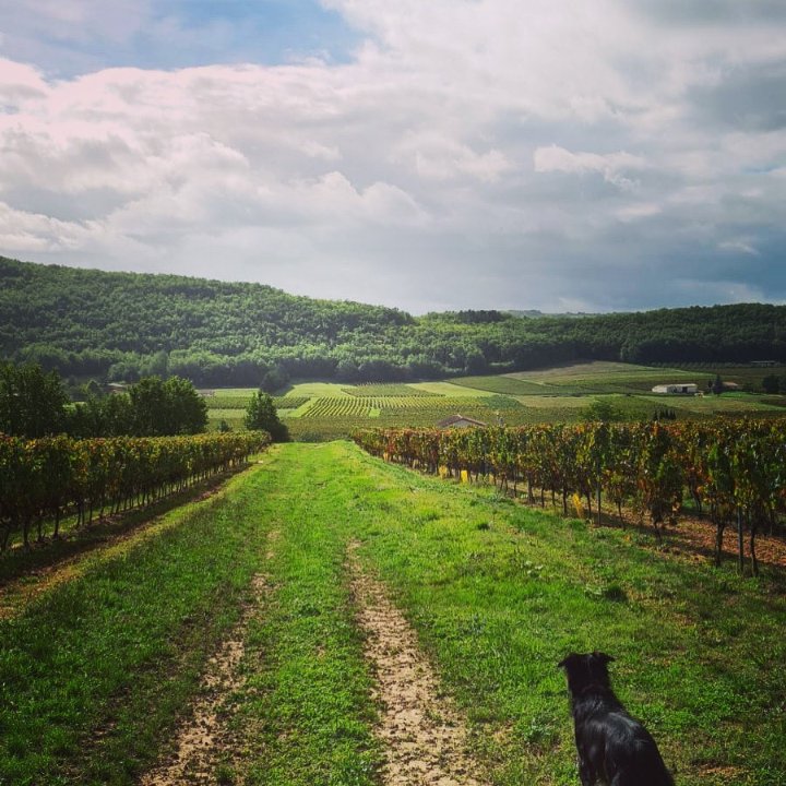 Supporting #SmallBusinesses is so important especially during COVID19. Head to our website to read our latest blog post on this subject.

#shoplocal #FamilyBusiness