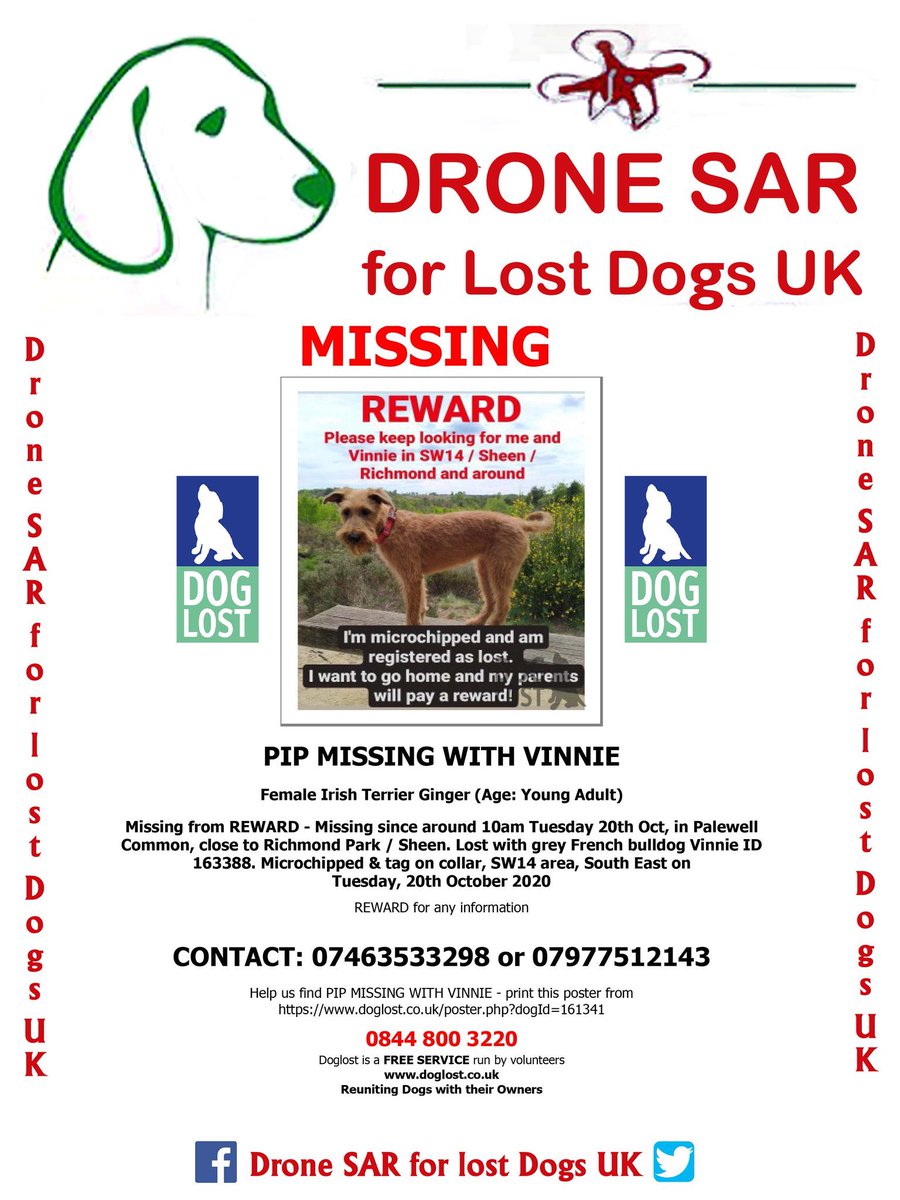 blacklab115's tweet photo. #findPip #missing don’t chase if sighted contact number on poster #London https://t.co/Dy1k8Mi0j2