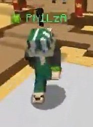 philza minecraft