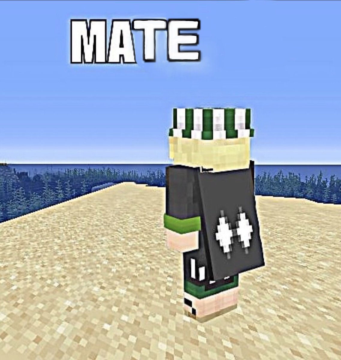philza minecraft