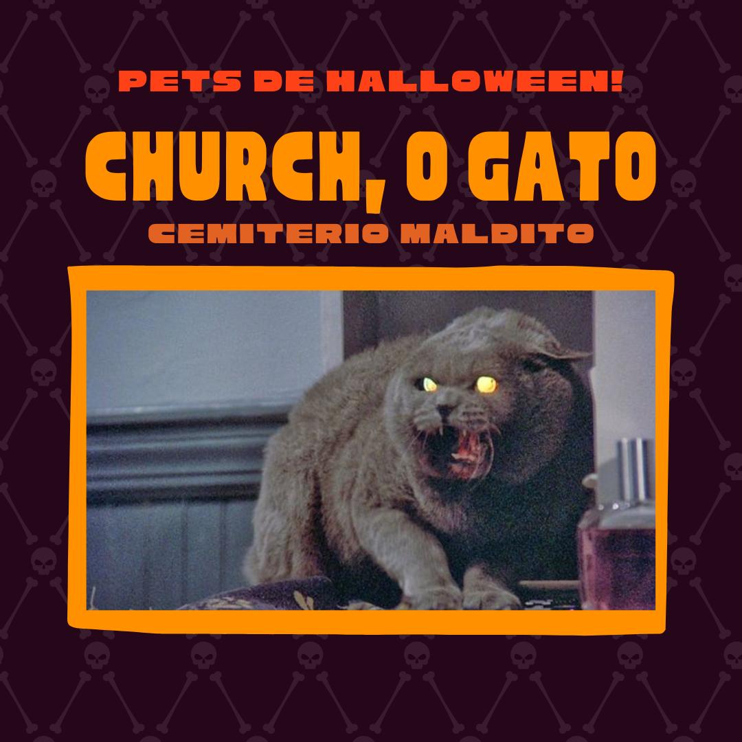 crowdpet tweet media