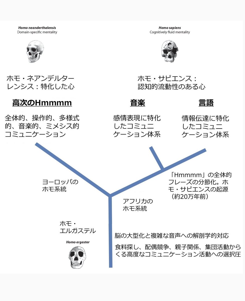 歌うネアンデルタール 音楽と言語から見るヒトの進化 Amazon.co.jp: 歌うネアンデルタール: 音楽と言語から見るヒトの進化