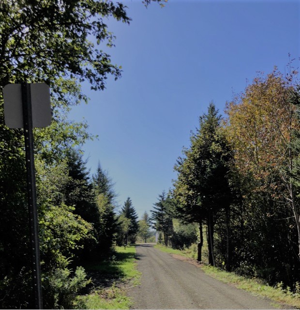 Nova Scotia Federation of Municipalities tweet media