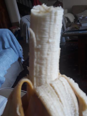 Landiskrtskrt's tweet image. hi.. im a new Twitter user
here's my dick pic