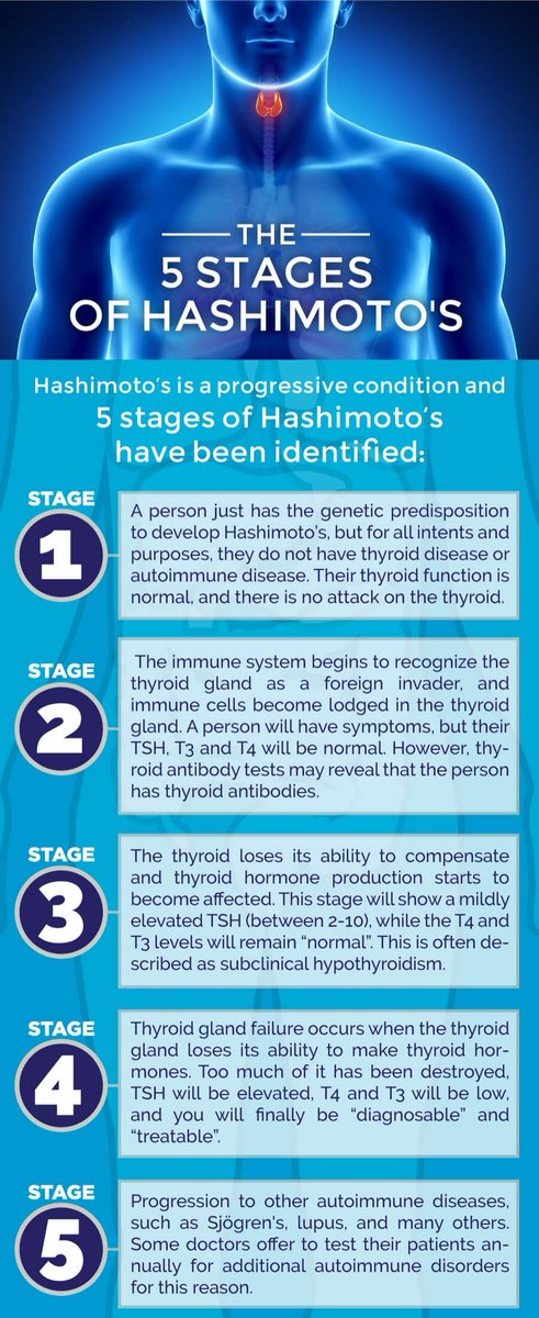 CoatesMarta's tweet photo. #thyroidawarenessweek Stages of #Hashimoto #thyroiditis as described by Dr Wentz. Fun facts: Did you know Hashimoto's was first diagnosed in 1912?! Did you know that having an #autoimmune #condition increases your #risk of having more autoimmune conditions? #thyroid #health 🦋 https://t.co/qiSpRnhUye