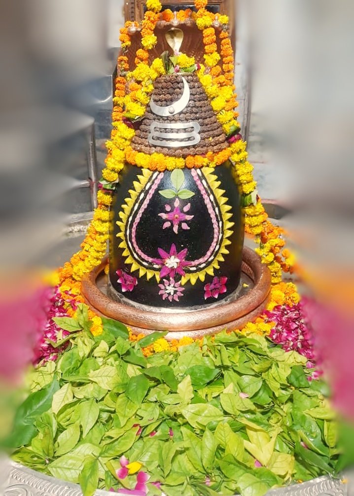 श्री अहल्याबाई मंदिर, प्रभासक्षेत्र - गुजरात (सौराष्ट्र)
दिनांकः 22 अक्तूबर 2020, आश्विन शुक्ल षष्ठी - गुरुवार
सायं शृंगार
Dhruv_PS-10208267 https://t.co/wqPK69vhK0