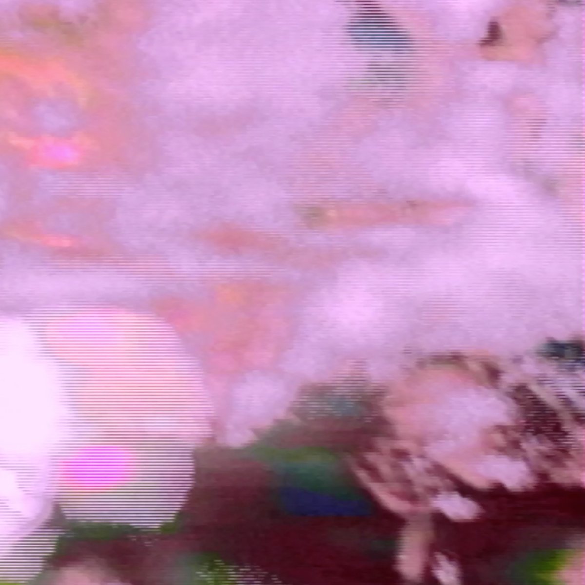 cstrecords's tweet photo. Jason Sharp's track "Gates of Heaven" is the latest entry in the #coronaborealis series, with accompanying visuals by filmmaker Guillaume Vallée. Watch the video on our site and get the track as a PWYC download via @bandcamp.

https://t.co/gXxR78ydZh

#jasonsharp #guillaumevallée https://t.co/eh1WlCqhui