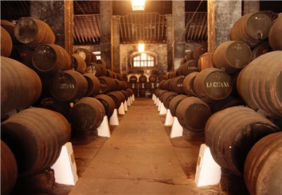 PuedoViajar tweet media