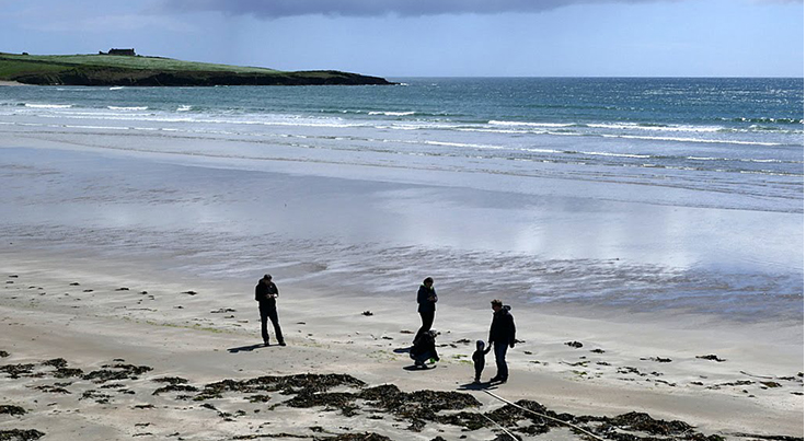 University of Galway Research & Innovation tweet media