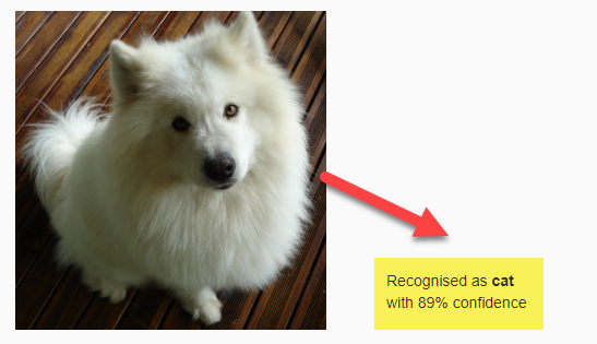akcapinar's tweet image. Bugün derste öğrencilerle kedi, köpek ve kuşu tanıyacak bir makine öğrenmesi modeli oluşturduk, sonuç :)) #yapayzeka #makineöğrenmesi #ibmwatson