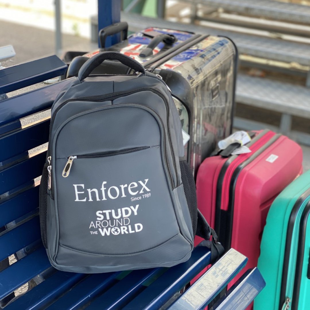 Enforex Idiomas tweet media