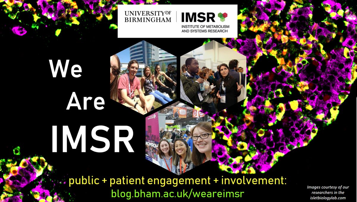 A reminder to check out the #WeAreIMSR blog periodically for our latest public events. We welcome contributions from @IMSR_UoB <a href="/SMQB_UoB/">Systems Modelling & Quantitative Biomedicine</a>, so do let me know if you have a story or event to share: blog.bham.ac.uk/weareimsr/abou… 
Photo credits: IMSR's <a href="/daveyboyhod/">David Hodson</a> + isletbiologylab.com