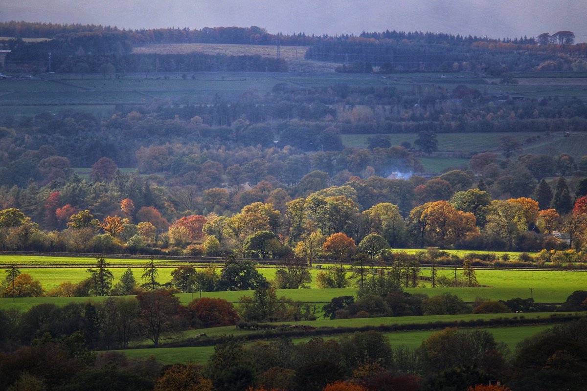 terrybnd's tweet photo. When the autumn light hits the trees 😊 Some sun is trying break through the ominous clouds. Popped out for my daily bimble. Much needed fresh air having been stuck indoors working. Now enjoying a nice ale at @Duftonpub #Cumbria #edenvalley #getoutside @VisitEden @OSleisure https://t.co/iIvmGGtyfK