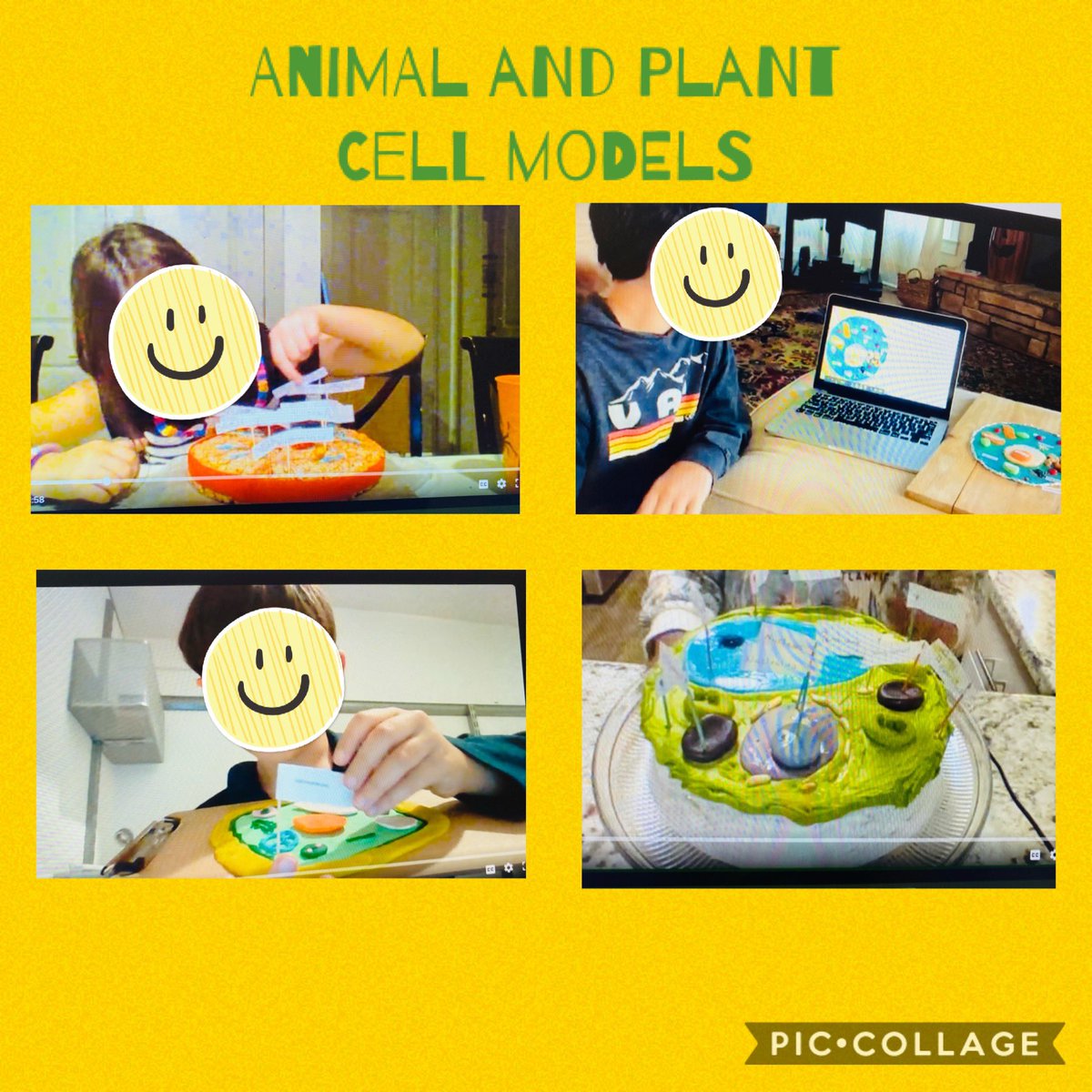 SandraVarajic's tweet photo. SO very proud of our 5th grade students @AshfordParkES for using @tinkercad to design their cell model, use a variety of materials to build a physical model and present their design using @Flipgrid @DeKalbSchools @DCSDSTEM @kthomasteaches  #CakeCell #Yum https://t.co/N6UhWdmSsK
