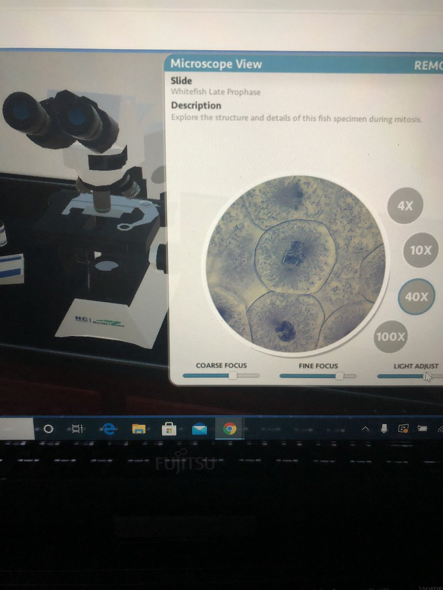 Mrs. Alexander (@alexanderqeb) on Twitter photo Explored plant and animals cells with our virtual microscopes and yes... you can still break a virtual slide! <a href="/HPE_VSchool/">HPEDSB K-12 Virtual School</a> Explored plant and animals cells with our virtual microscopes and yes... you can still break a virtual slide! <a href="/HPE_VSchool/">HPEDSB K-12 Virtual School</a>