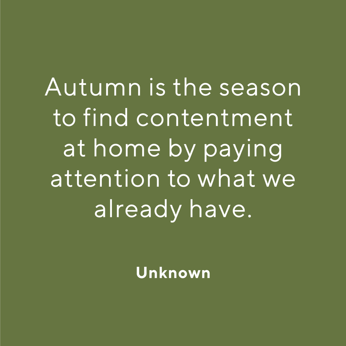 Wild & Wolf tweet media