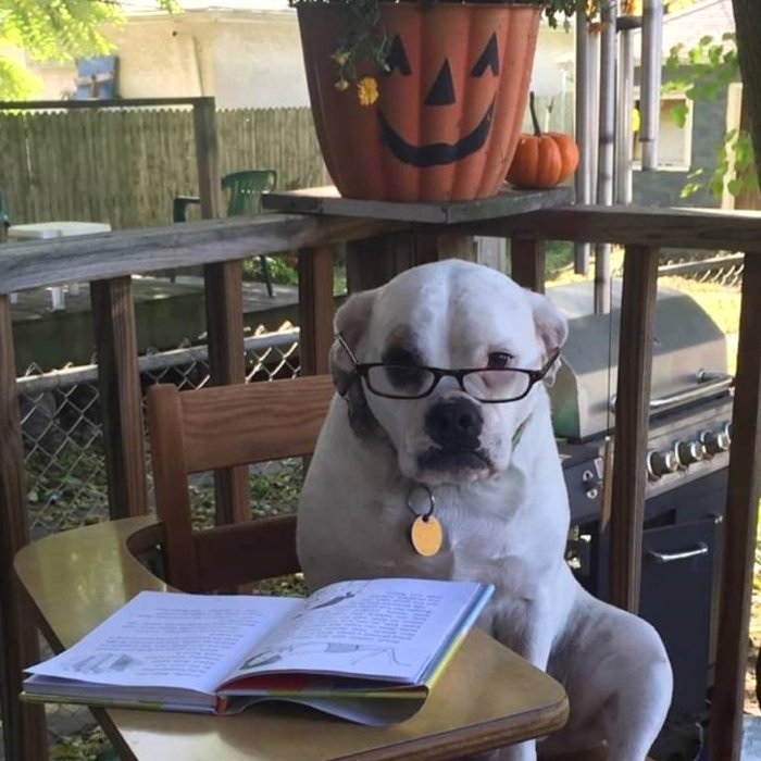 LakeCountyLib's tweet photo. No, you can't borrow my book.
New #VirtualPuzzle for you right here! https://t.co/9Caf8Ba7LJ https://t.co/YChLfIvKyQ