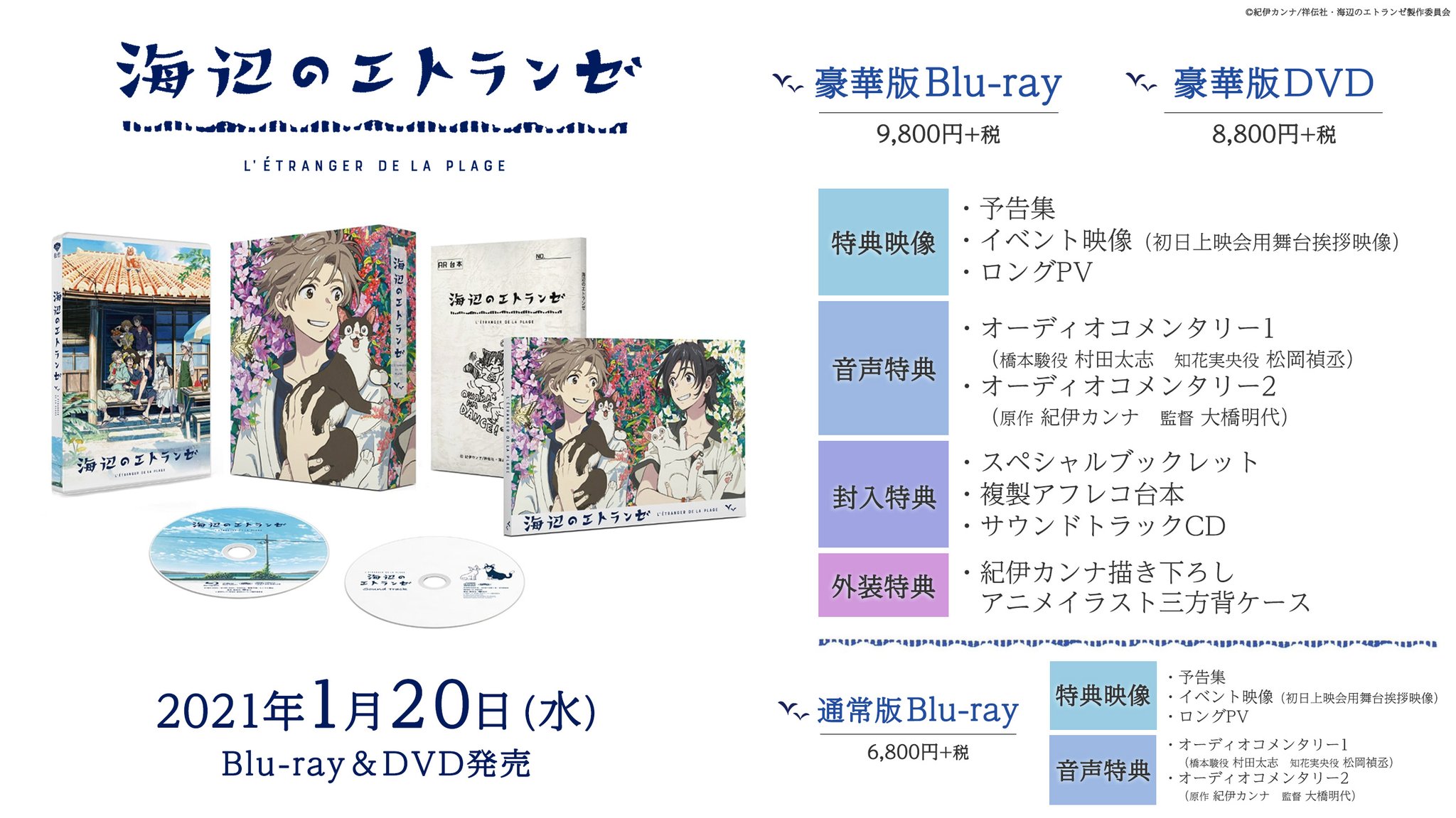 映画 海辺のエトランゼ Blu Ray Dvd好評発売中 映画 海辺のエトランゼ 1 Dvd発売決定 特別じゃない ただ恋をしている 豪華版には スペシャルブックレット 複製アフレコ台本 サウンドトラックcd 村田太志 松岡禎丞