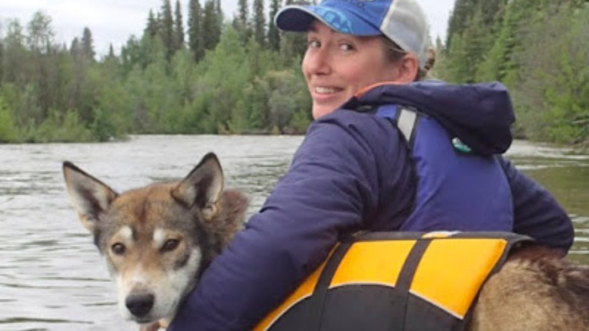 the_dogslife's tweet photo. Social media is filled with memes about writers and their cats. Hereโs an article about @evaholland, author of the @nytimes-praised book, โNerve,โ and her dog Tacoma https://t.co/U4gwrLTmpn via @CompAnimalPsych #dogs #WritersAndDogs https://t.co/4ajKTmLkov