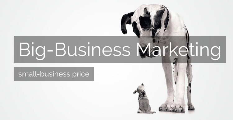 GoBuzzSMM's tweet image. Every marketing strategy needs detailed planning. Our clients know exactly What we’re doing and How we’re doing it.

gobuzz.ca