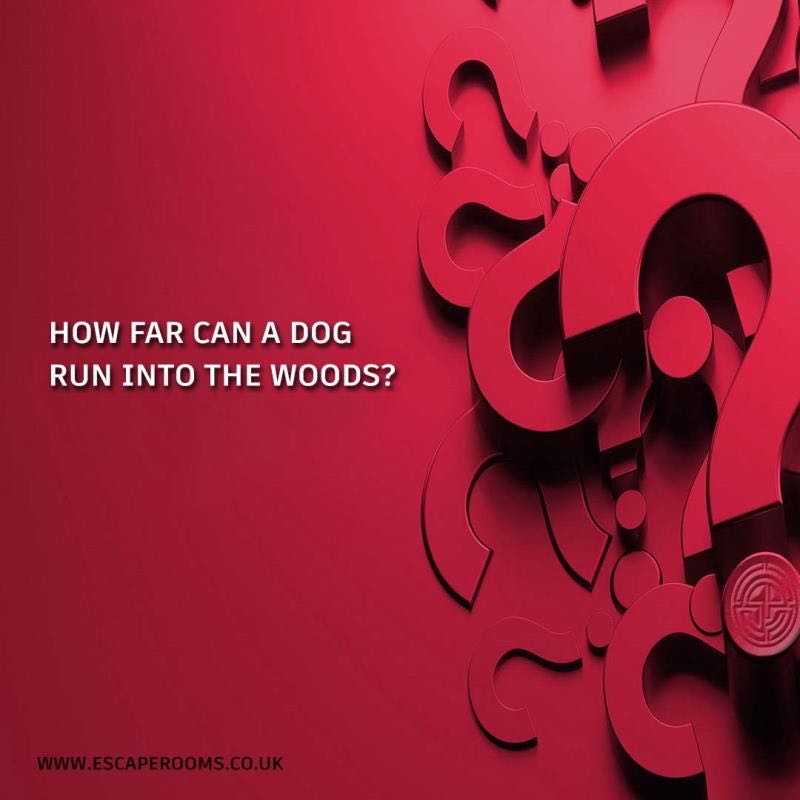 Escape Rooms tweet media