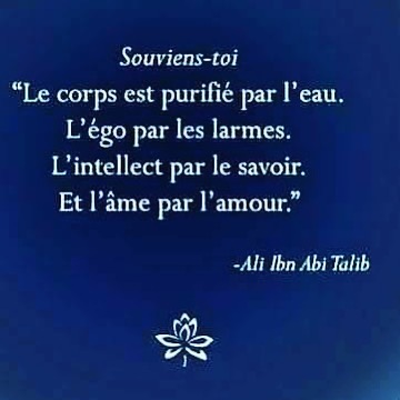 Boutique Chakra Boutiquechakra Chakra Bouddha Bouddhisme Zen Zenattitude Spiritualite Meditation Meditations Momentpresent Momentpresent Bonheur Sagesse Pleineconscience Citation Citations Citationsdujour