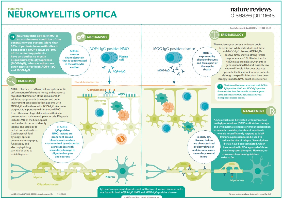 Nature reviews. Зрительный нейромиелит. Сатрализумаб.