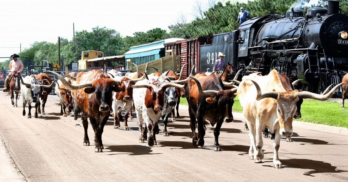 Rediscover America tweet media