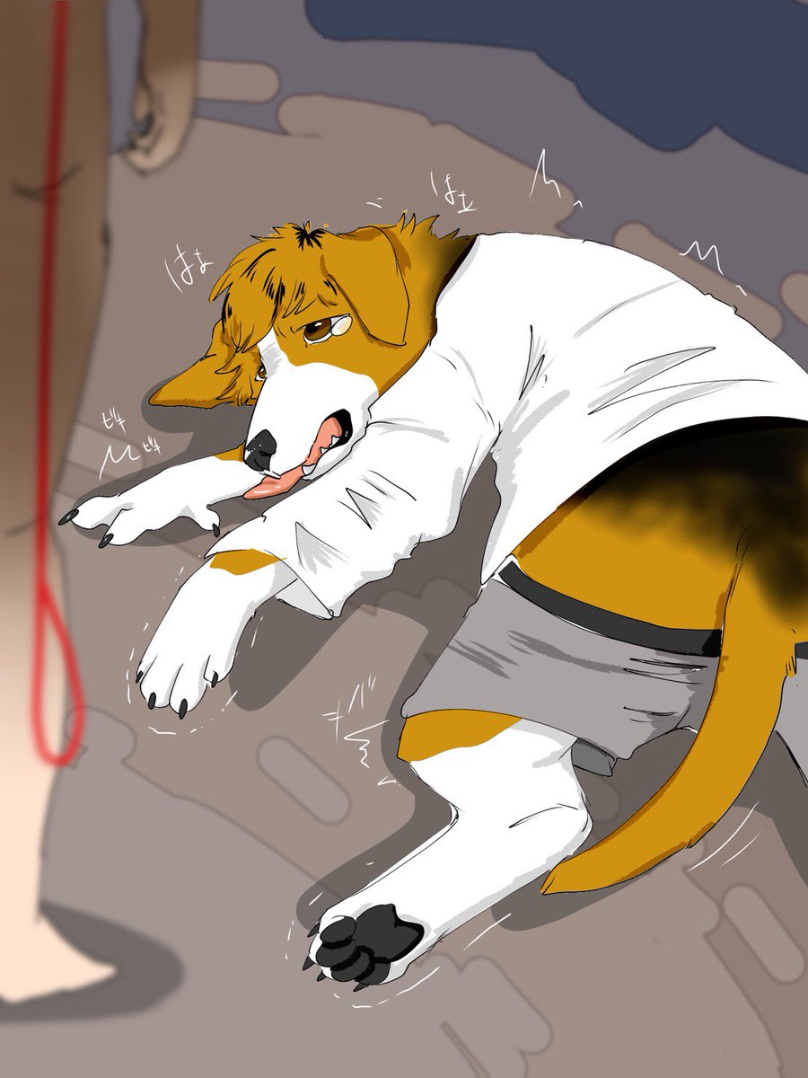 とに子 tweet media