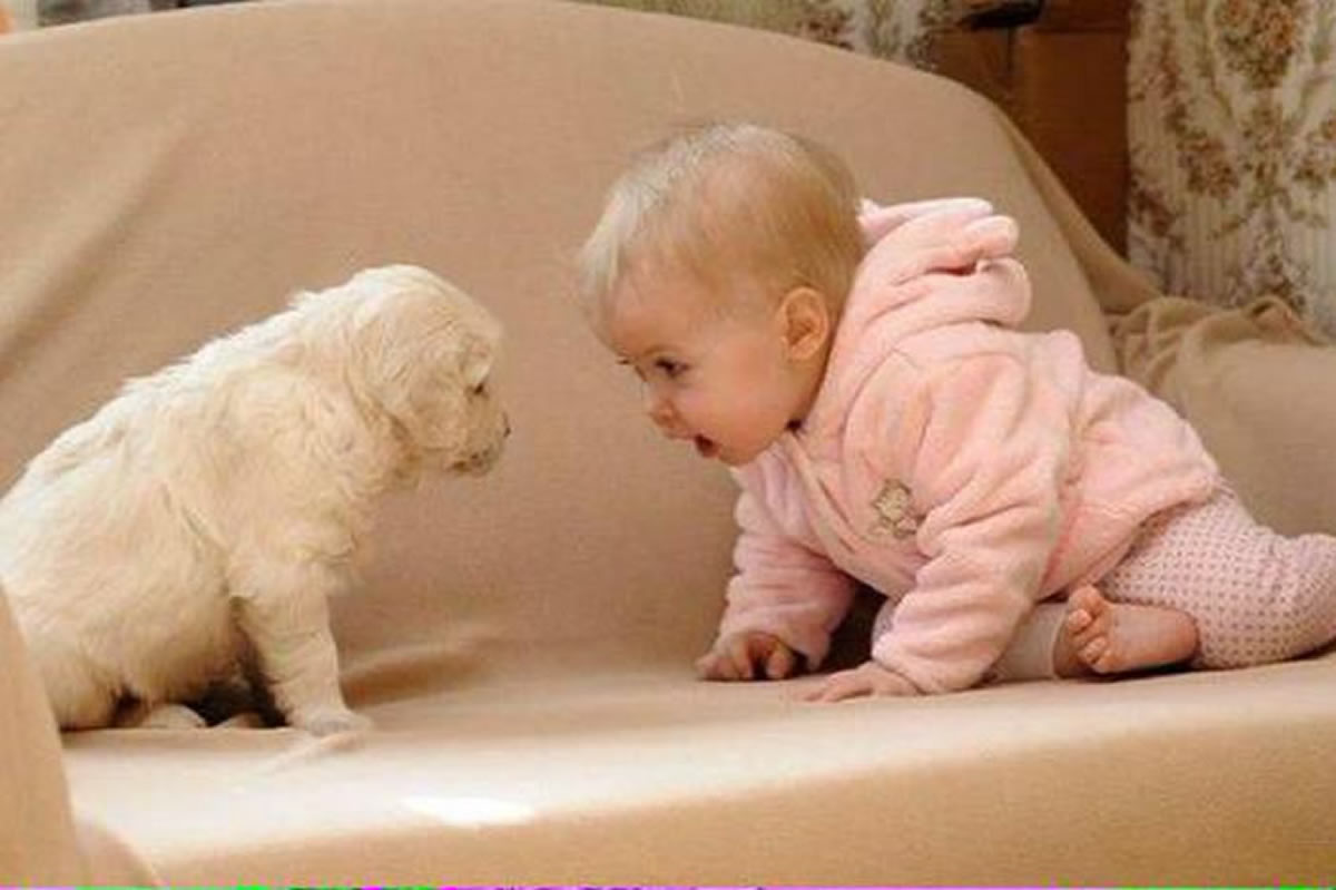 Pure unconditional #Love💕