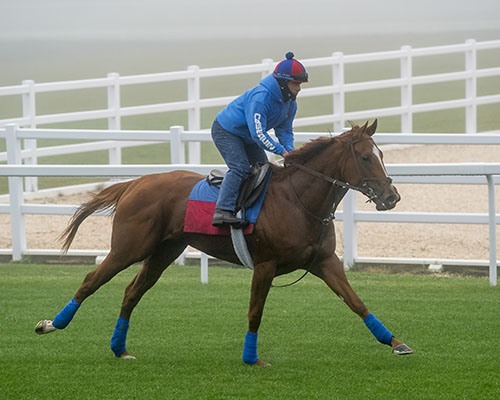 Fair Hill's new turf course hosted its first horses for a gallop Wednesday morning. 
thisishorseracing.com/news/index.php…