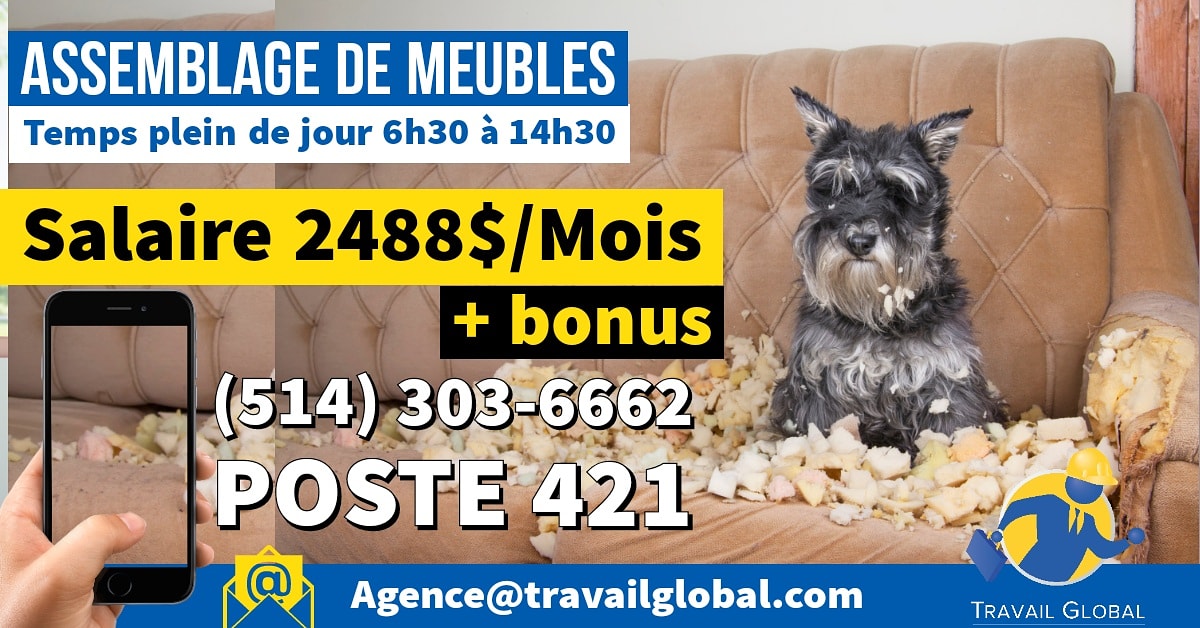 TravailGlobal's tweet photo. 🤩#Journalier assemblage de #meubles de jour 6:30 à 14h30 situé à 📍#pointeclaire #jobs
Appelle 514-303-6662 poste 421
CV 👉🏽Agence@travailglobal.com
https://t.co/gaueROeNny https://t.co/PbEXm1CJej